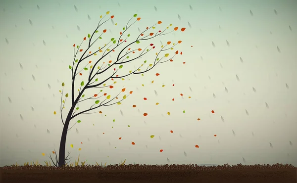 Φθινοπωρινό δέντρο φυλλόπτωση — Διανυσματικό Αρχείο