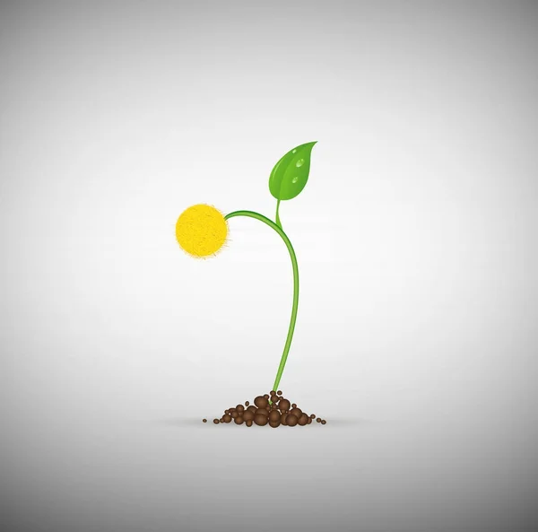 Fleur de germe vert ou jeune pissenlit jaune dans le sol isolé sur fond blanc, fantaisie de fleur de printemps , — Image vectorielle