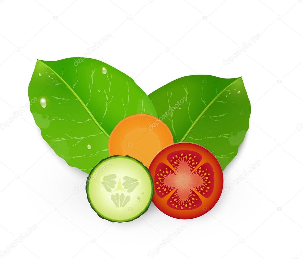 tomato, cucumber and carrot slices with green leaves