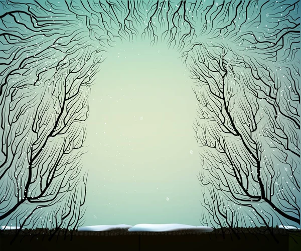 Camino al bosque invernal helado de hadas profundas, sombras, silueta de ramas, hada azul — Vector de stock