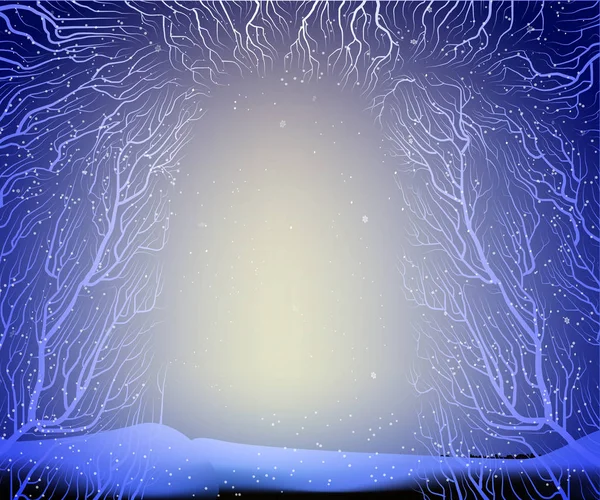 Camino al bosque invernal helado de hadas profundas, sombras, silueta de ramas , — Archivo Imágenes Vectoriales