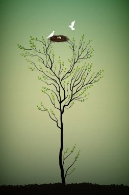 yuva ve iki beyaz kuşlar, zerafet ağaç bahar ile ağacı,
