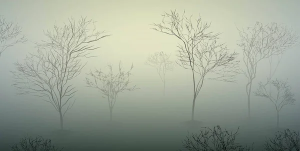 Van de ochtend in het bos, maart natuur scène, mistige ochtend vroeg voorjaar, — Stockvector