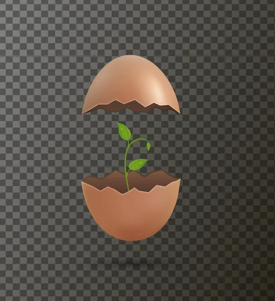 Isolierte rissige Ei mit grünen Sprossen im Inneren, — Stockvektor