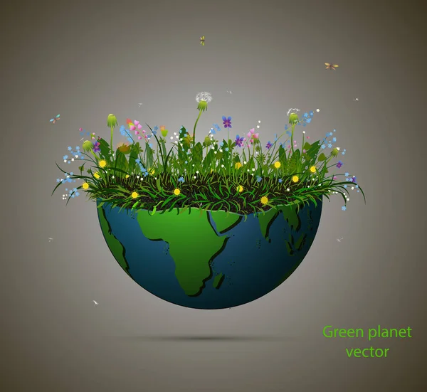 Kawałek ziemi pełnej uprawy kwiatów letnich, Blooming planety na białym tle i tekst zielony planeta, koncepcja zielonej planety, — Wektor stockowy