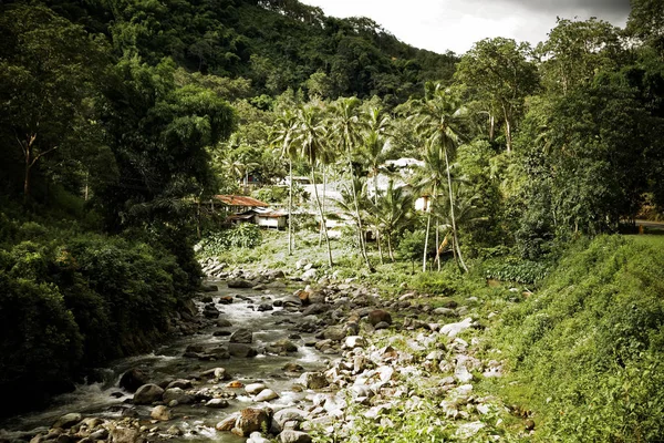 Güzel Nehri Vadisi manzara, Endonezya.