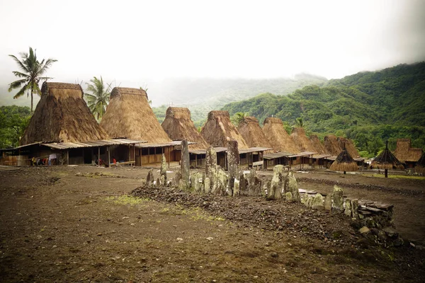 Bena, aldeia tradicional com cabanas de grama do povo Ngada em Flores, Indonésia . — Fotografia de Stock