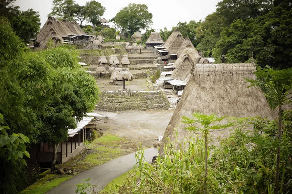 Bena, çim kulübe Ngada insan Flores, Endonezya ile geleneksel köy.