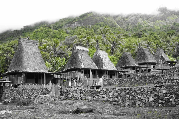 Bena, çim kulübe Ngada insan Flores, Endonezya ile geleneksel köy.