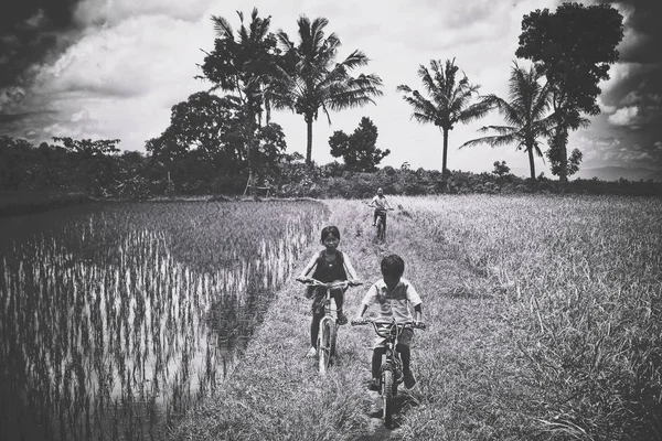 Etnik azınlık çocuklarda pirinç teras ile onların Devir oynuyor. Endonezya, 2015.