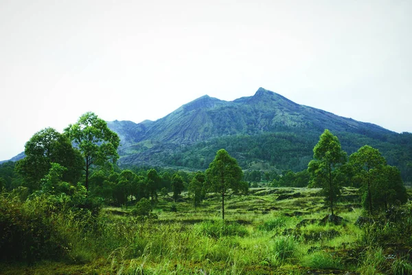 manzara batur yanardağ bali Adası, Endonezya 