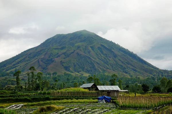 manzara batur yanardağ bali Adası, Endonezya 