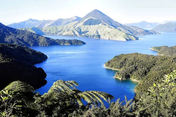 Francouzské Pass, Marlborough Sounds, Nový Zéland — Stock fotografie