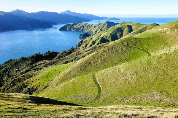 Fransızca Pass, Marlborough Sounds.New Zelanda üzerinden görünüm.
