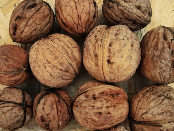 Walnuts on a table in contrast colors — Stock Photo, Image