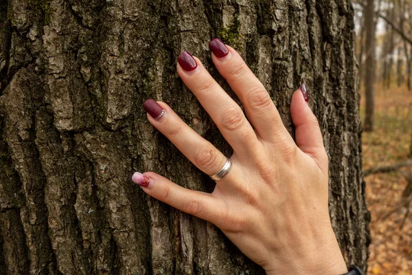 Mão de mulher no tronco da árvore. Conceito de salvar ambiente ou unidade w — Fotografia de Stock
