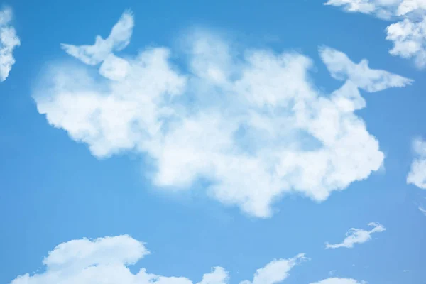 Couple of dove birds in cloud shape soars in blue sky. Concept o