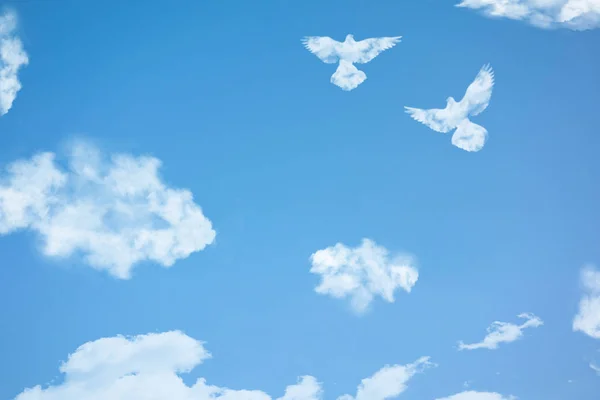 Couple of dove birds in cloud shape soars in blue sky. Concept o