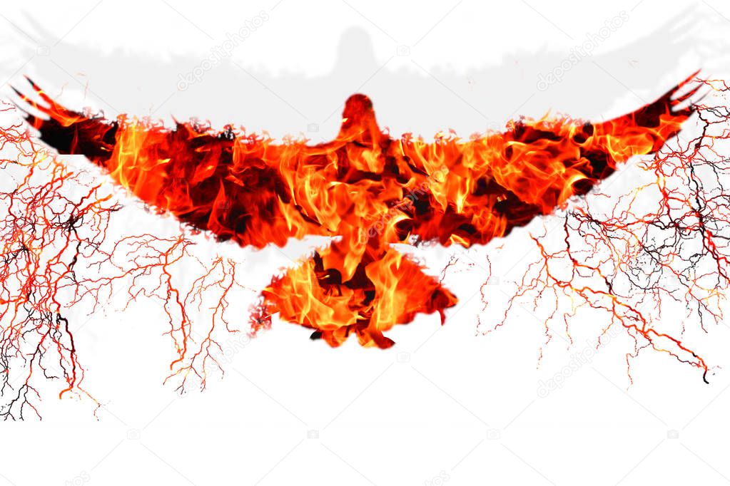 Flying bird in fire and flame silhouette of eagle or dove with l