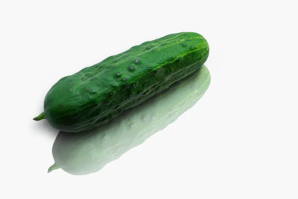 Green cucumber with reflection on white background. Eco healthy — Stock Photo, Image