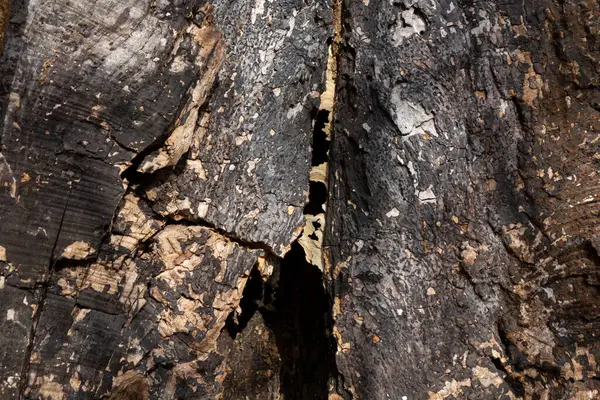 Madera Envejecida Con Grietas Cheques Hendiduras Fondo Texturizado Madera —  Fotos de Stock