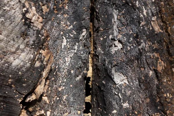 Madera Envejecida Con Grietas Cheques Hendiduras Fondo Texturizado Madera —  Fotos de Stock