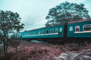 Kendinizi orman ve dağlar arasında bulmak