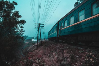 Kendinizi orman ve dağlar arasında bulmak