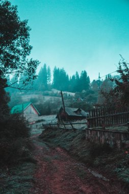 Kendinizi orman ve dağlar arasında bulmak