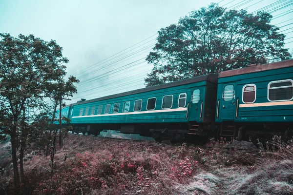 Kendinizi orman ve dağlar arasında bulmak