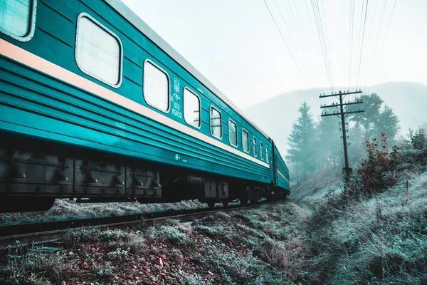 Kendinizi orman ve dağlar arasında bulmak