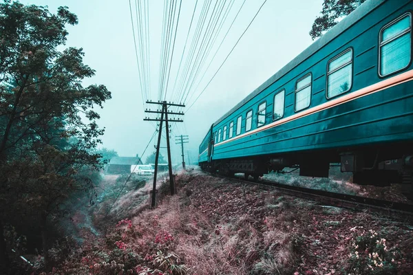 Kendinizi orman ve dağlar arasında bulmak
