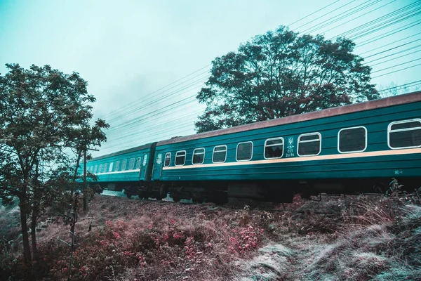 Kendinizi orman ve dağlar arasında bulmak