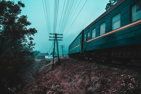 Kendinizi orman ve dağlar arasında bulmak