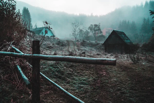 Kendinizi orman ve dağlar arasında bulmak