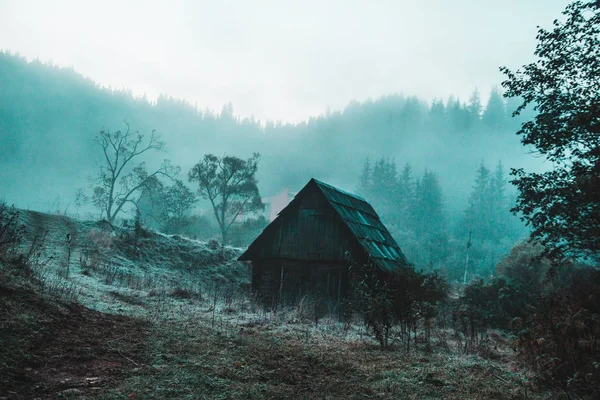 Kendinizi orman ve dağlar arasında bulmak