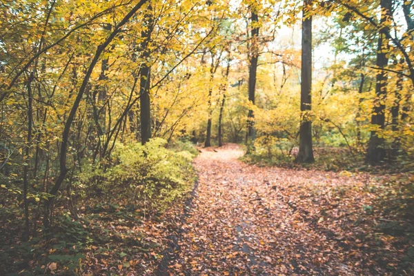 A beleza única da Ucrânia em bugigangas — Fotografia de Stock