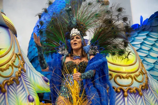 Carnaval 2019 - Unidos da Tijuca — Foto de Stock