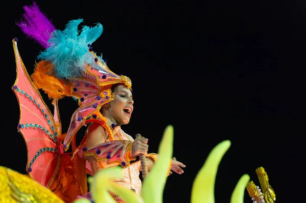 Carnaval 2019 - Estácio de Sa — Foto de Stock