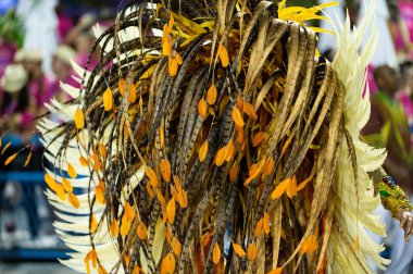 Karnaval 2019 - Imperio da Tijuca