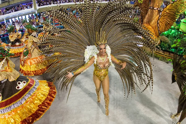 Carnaval 2019 - Imperio da Tijuca — Fotografia de Stock