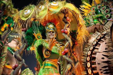 Karnaval 2019 - Imperio da Tijuca