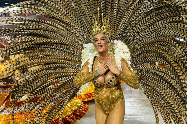 Carnaval 2019 - Imperio da Tijuca — Photo