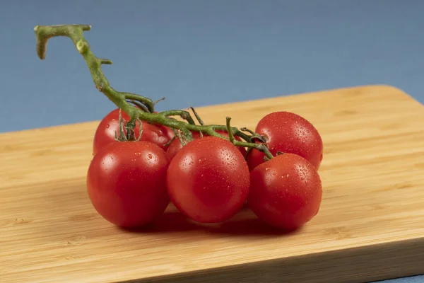 Pequeno ramo de tomate — Fotografia de Stock