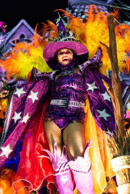 Karnaval 2019 - Viradouro