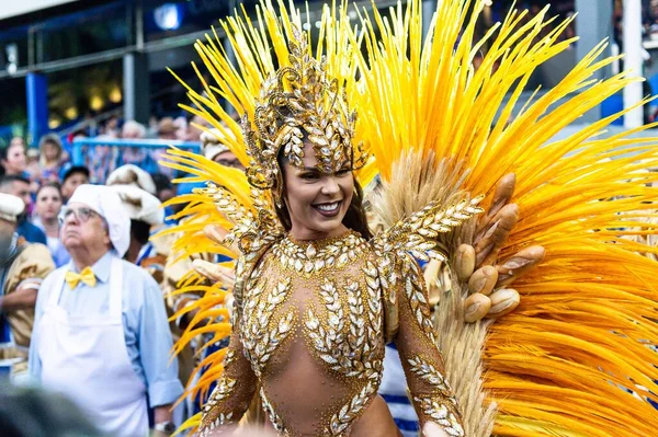 Carnaval 2019 - Unidos da Tijuca — Fotografia de Stock