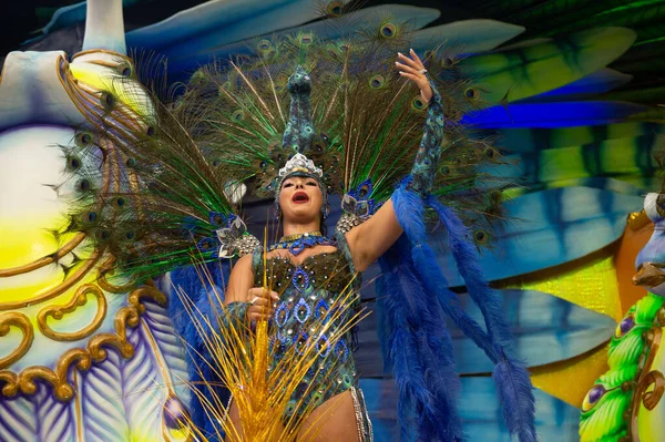 Carnaval 2019 - Unidos da Tijuca — Foto de Stock