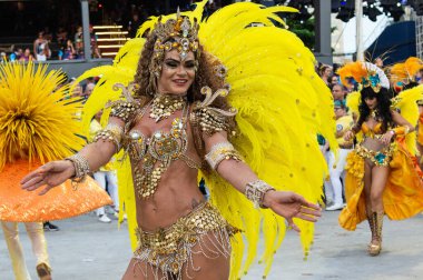 2019 Karnavalı - Unidos da Tijuca