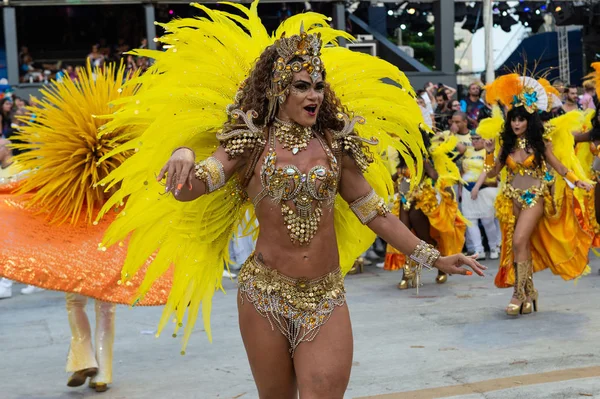 Carnaval 2019 - Unidos da Tijuca — Fotografia de Stock