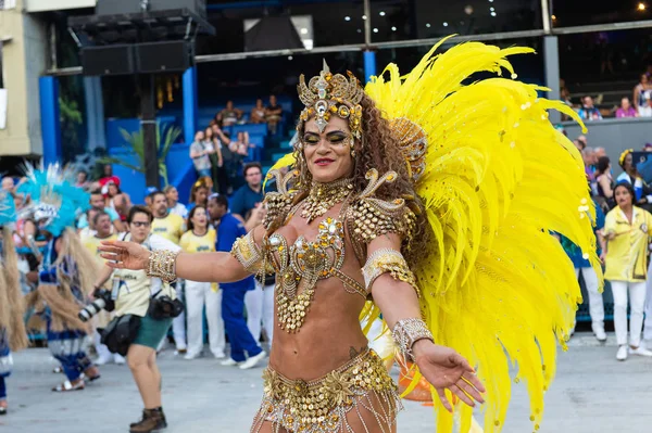 Carnaval 2019 - Unidos da Tijuca — Fotografia de Stock